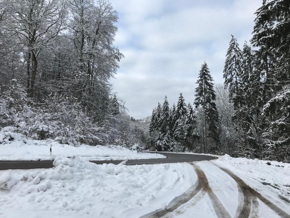 Wohnung Mit Panoramablick Gerolstein Exteriör bild